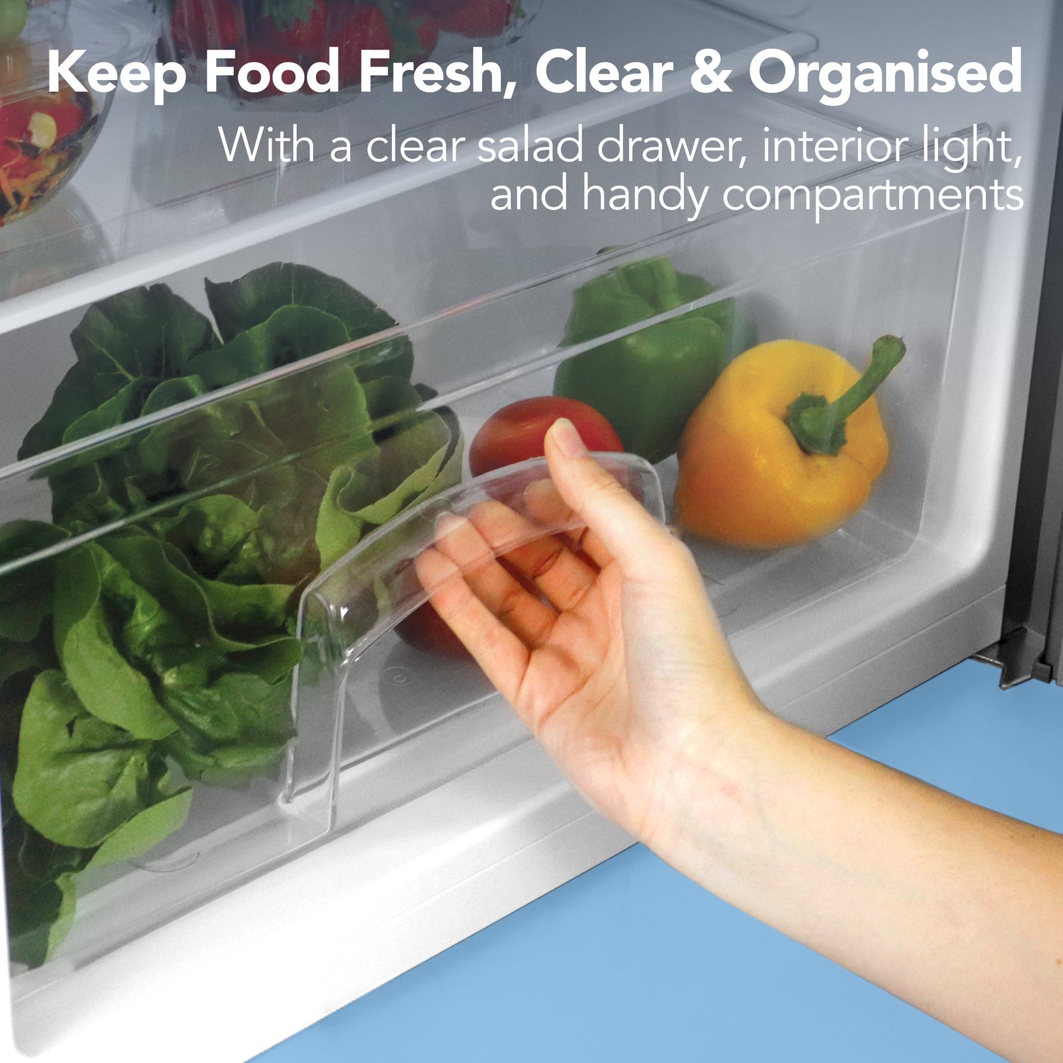 Under Counter Fridge with Ice Box, Inox