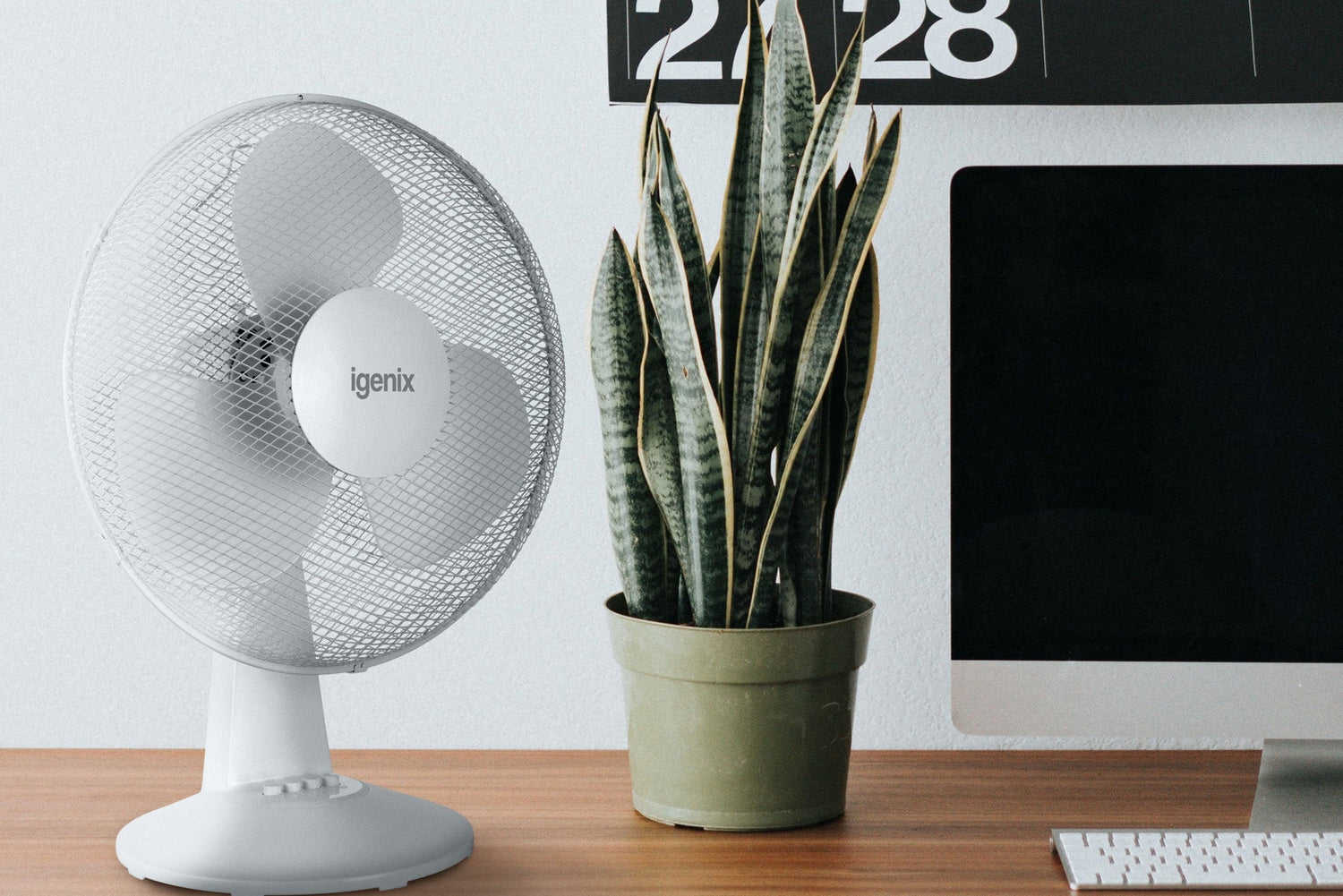 16 Inch Desk Fan, 3 Speeds, White